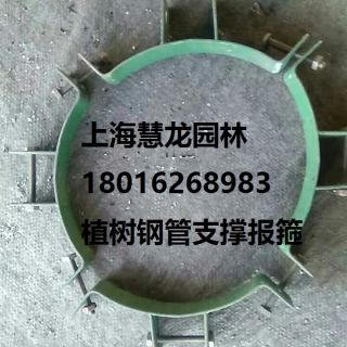 大樹報(bào)箍，植樹支撐報(bào)箍，鋼支撐報(bào)箍