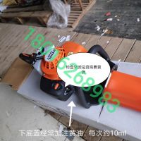 上海浦東，綠化割草，修剪旺季，注意綠籬機(jī)，草坪機(jī)，割灌機(jī) 日常保養(yǎng)